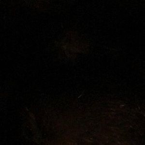 Meet your Posher, Isi